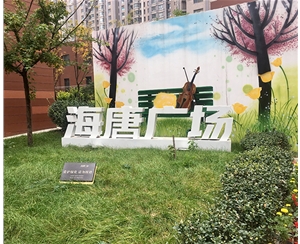 海塘廣場(chǎng)
