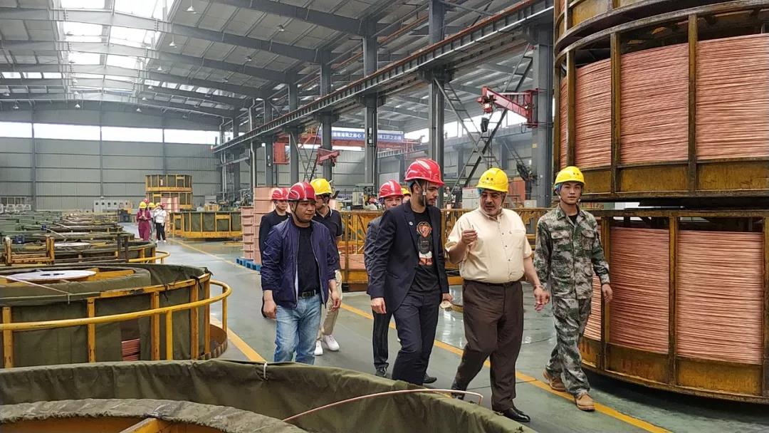 1558431812291523s3Bh.jpg 3.jpg